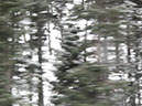 20120216_3744.1c