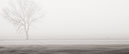 20120329_4226.1c
