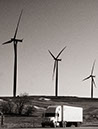 IMG_8893_0417.1c